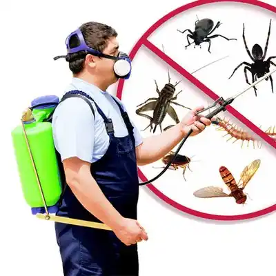 pest control Landfall